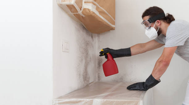 Professional Crawl Space Mold Removal technician working in Gibson Island, MD