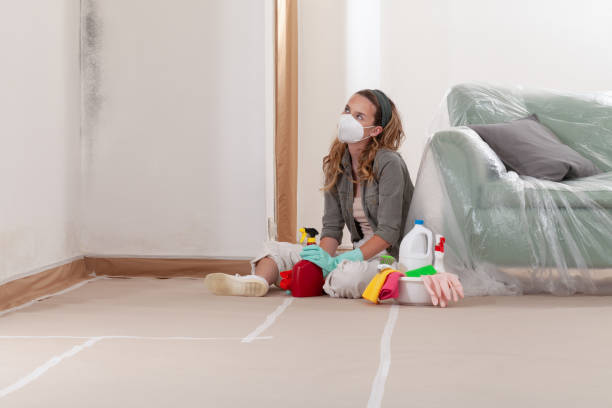 Reliable Crawl Space Mold Removal contractor in Gibson Island, MD by WQB Mold Removal